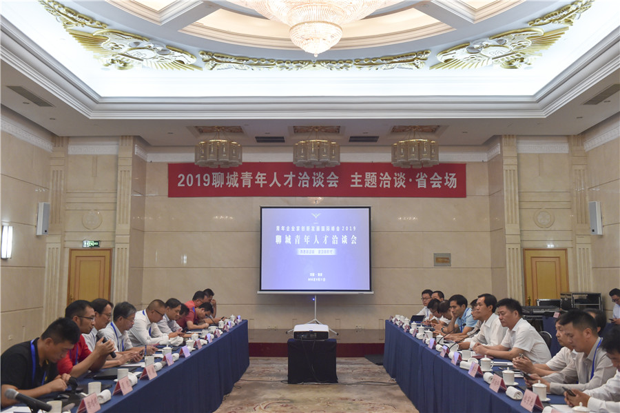 团聊城市委组织青企峰会2019聊城青年人才洽谈会省会场主题洽谈
