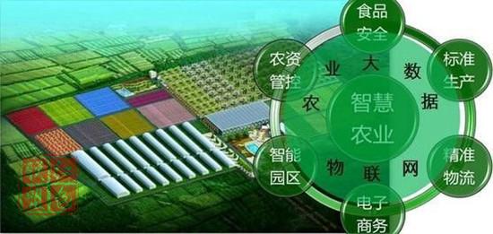 形成强大合力推进乡村振兴