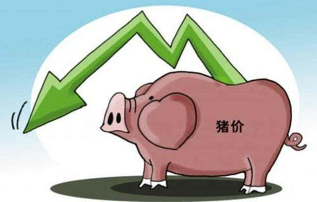 农业农村部：生猪生产进入止降回升转折期
