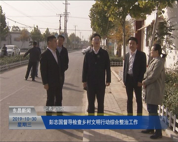 彭志国督导检查乡村文明行动综合整治工作