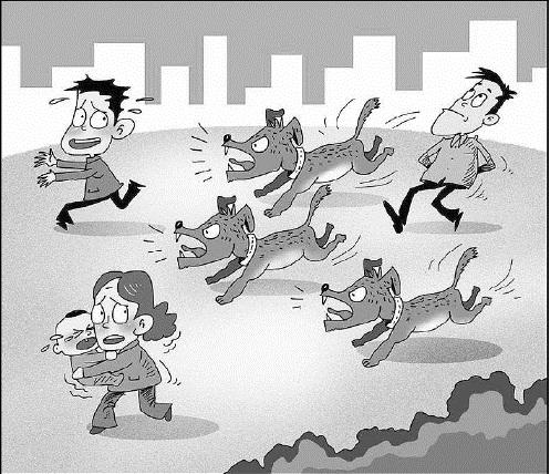 遛狗不牵绳、吠叫惊吓他人…… 爱犬“惹祸”谁担责