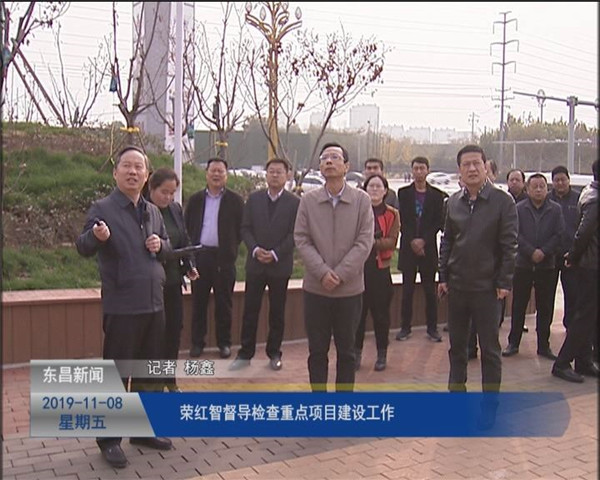 荣红智督导检查重点项目建设工作
