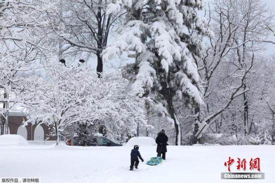 美遭冬季风暴侵袭：约5500万人受影响 致至少10死