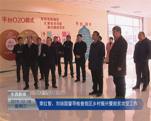 荣红智、刘培国督导检查我区乡村振兴暨脱贫攻坚工作