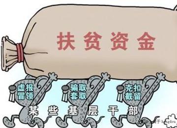 聊城市纪委市监委通报3起惠农领域不正之风和腐败典型问题