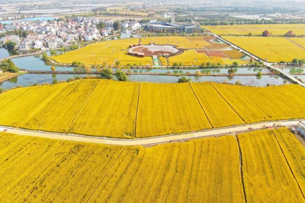 农业农村部加强转基因生物监管 严防非法生产经营