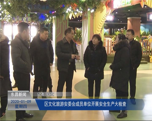 区文化旅游安委会成员单位开展安全生产大检查