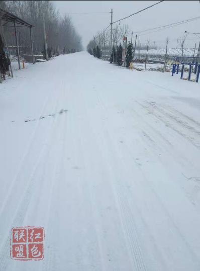 【张炉集战“疫”一线】风雪中的坚守