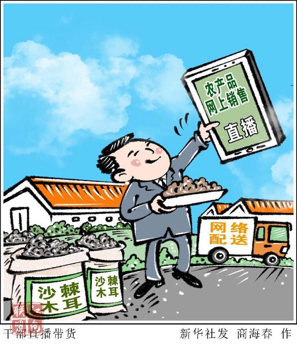 云带货、抢流量……“县长直播”热背后的助农新思路