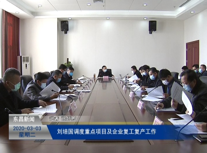 刘培国调度重点项目及企业复工复产工作