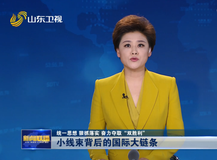 【统一思想 狠抓落实 奋力夺取“双胜利”】小线束背后的国际大链条