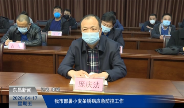 我市切实做好小麦条锈病应急防控工作