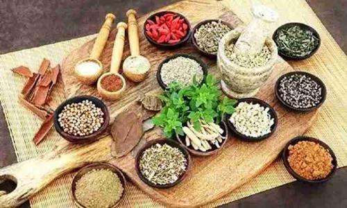 让中医药为维护人类健康发挥更大作用