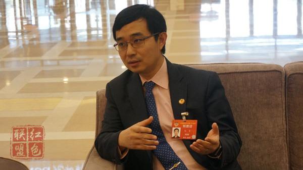 美国侨胞：今年两会有着特殊意义 感谢祖国雪中送炭助力抗疫