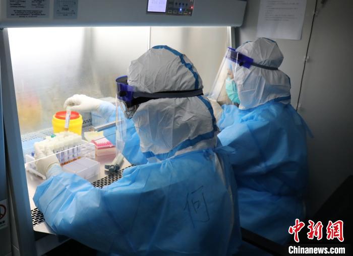 图为2位核酸检测员在生物安全柜内进行核酸提取 代雨朦 摄
