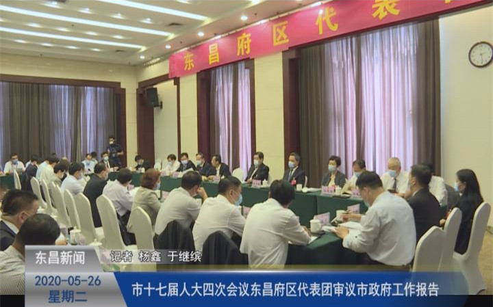 市十七届人大四次会议东昌府区代表团审议市政府工作报告