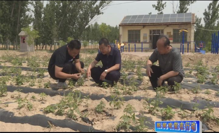 驻村帮扶暖人心   联手造就幸福路