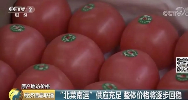 加强管理 确保猕猴桃丰产