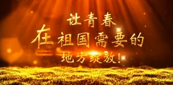 到祖国最需要的地方绽放青春
