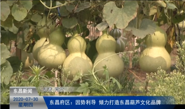 东昌府区：因势利导 倾力打造东昌葫芦文化品牌