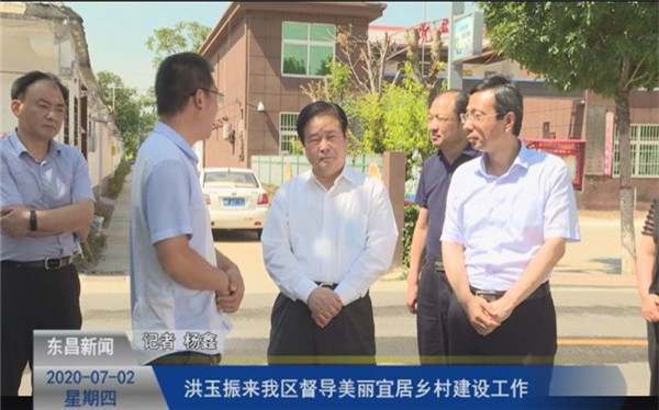 洪玉振来我区督导美丽宜居乡村建设工作