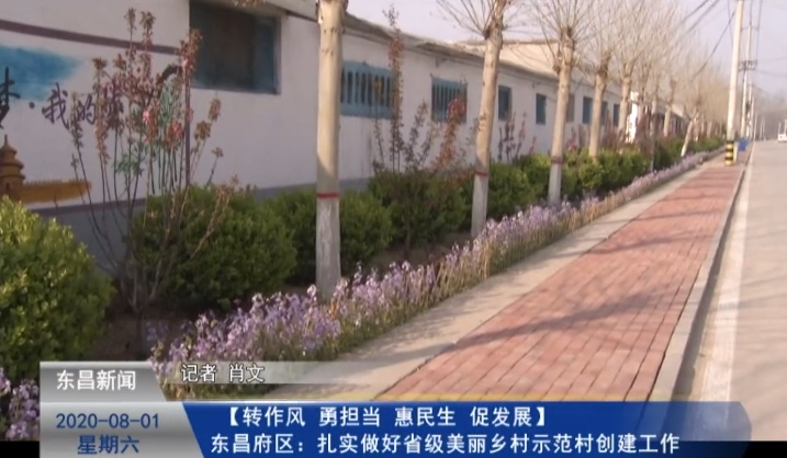 【转作风 勇担当 惠民生 促发展】 东昌府区：扎实做好省级美丽乡村示范村创建工作