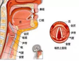 警惕！声音嘶哑可能是肿瘤“信号”