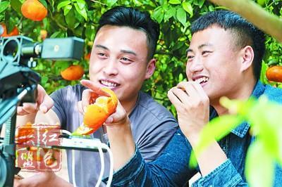 就业政策“大礼包”：兜底保障，扫除后顾之忧