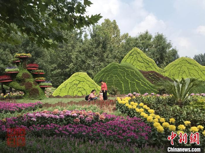 第十二届北京菊花文化节开幕 40万株菊花亮相