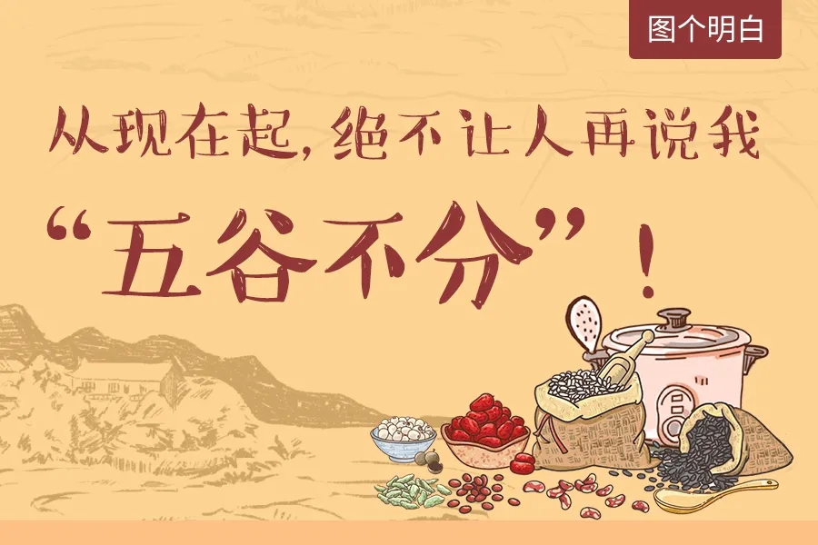 从现在起，绝不让人再说我“五谷不分”！