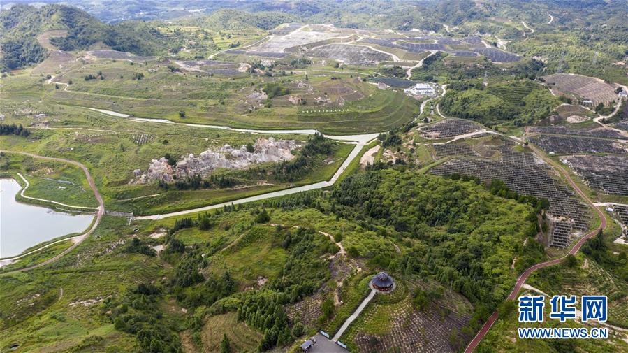 走向我们的小康生活 | 从废弃矿山到生态“福地”——江西寻乌战荒记