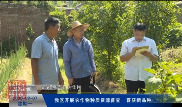 我区开展农作物种质资源普查  喜获新品种