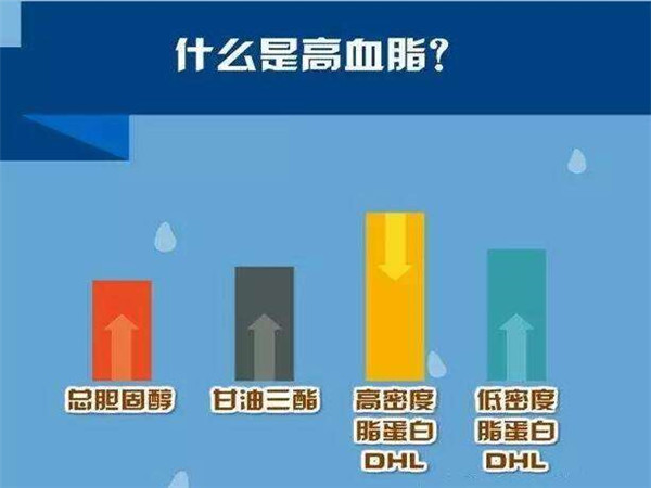 血液黏稠不等于高血脂 血是怎样变稠的?