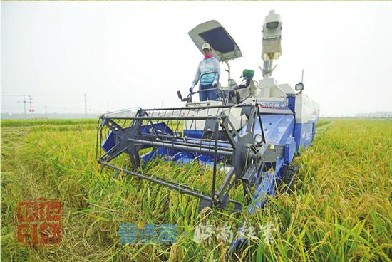 吉林秋收过半 收割进度快于去年