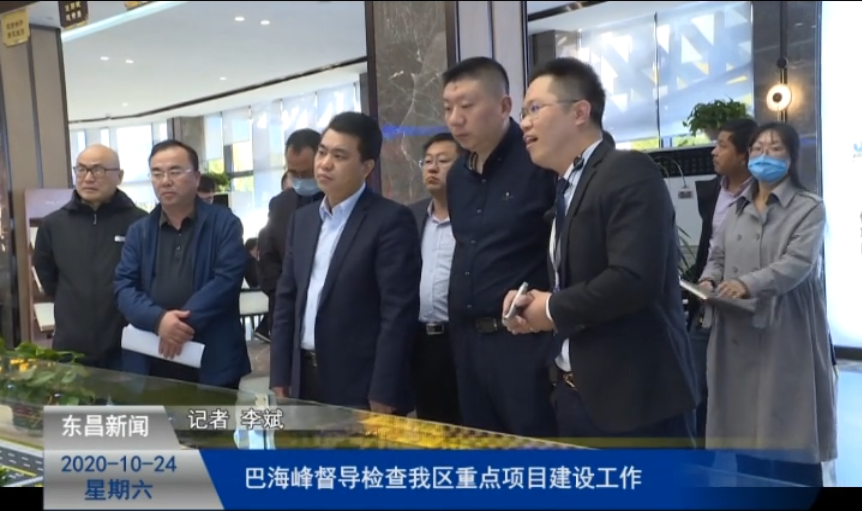 巴海峰督导检查我区重点项目建设工作