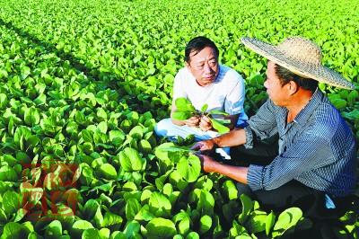 “夫妻档”第一书记：生活少了烟火气 多了泥土味