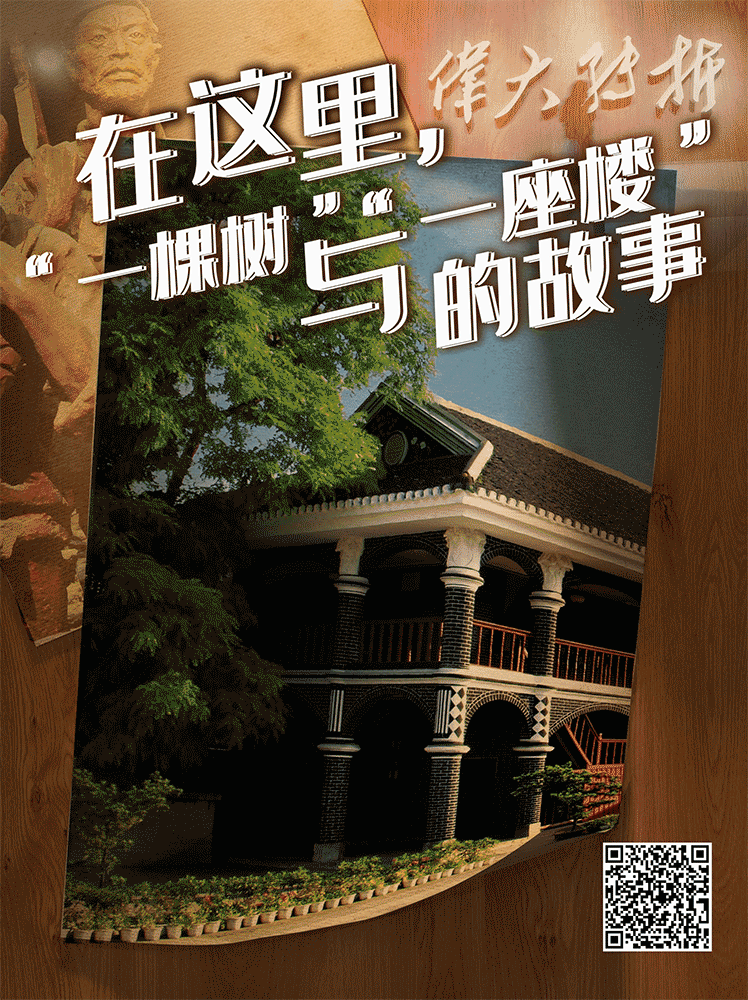 一座楼·一棵树·一个光辉时刻——遵义会议会址的红色故事