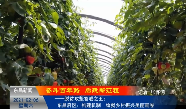 【奋斗百年路 启航新征程】——脱贫攻坚答卷之五：  《构建机制 绘就乡村振兴美丽画卷》