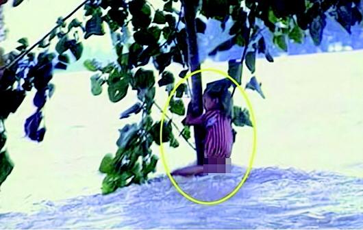 长大后我就成了你：98“抱树女孩”当上人民警察