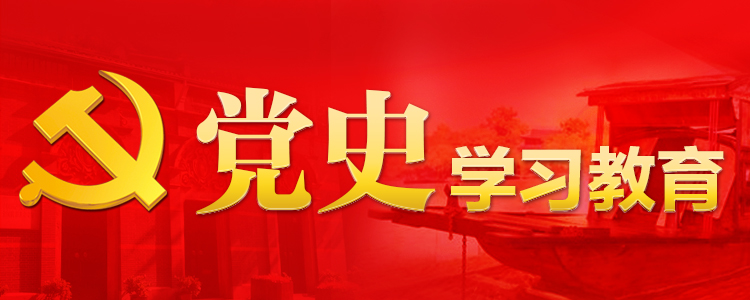 进一步总结党的历史经验——论扎实开展党史学习教育