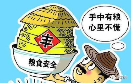 牢牢把住粮食安全主动权——访国家粮食和物资储备局局长张务锋