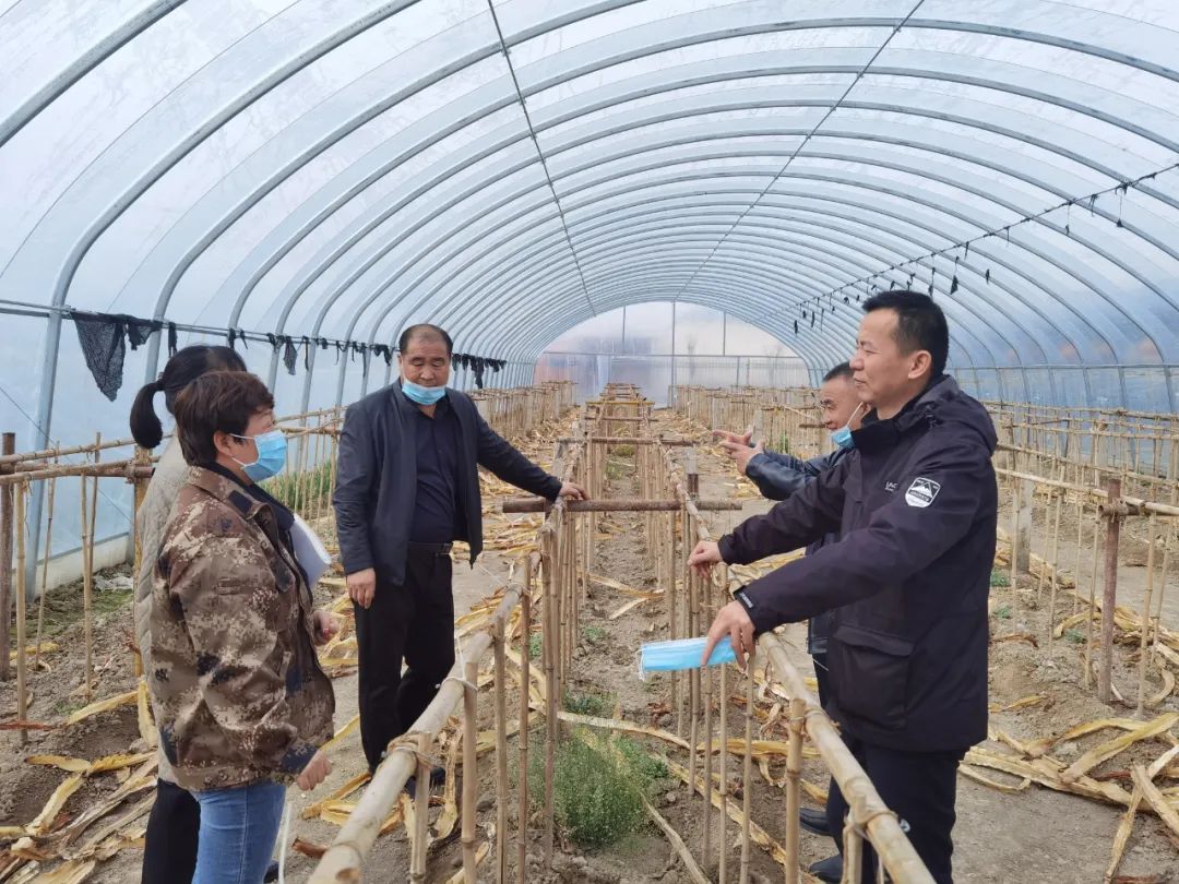 格尼登新村休闲农业活力足