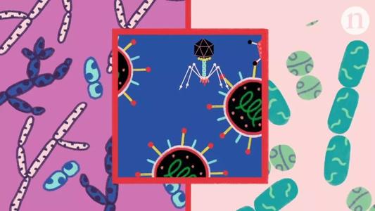 人类肠道微生物组曾发生显著变化