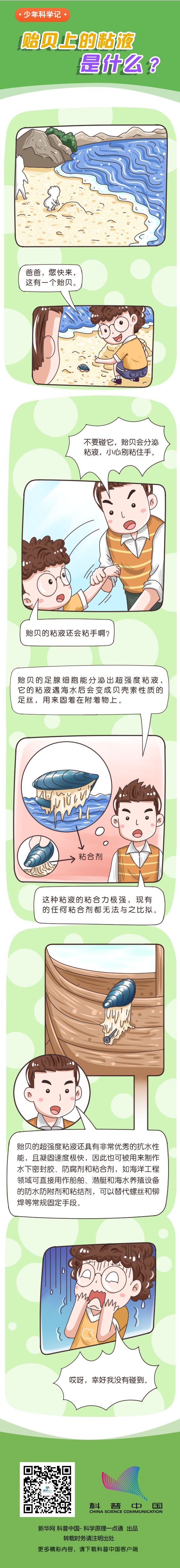 贻贝上的黏液是什么？