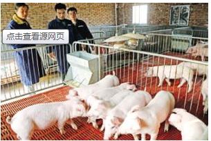 大学毕业后你会选择去养猪吗？研究生年薪18万元起