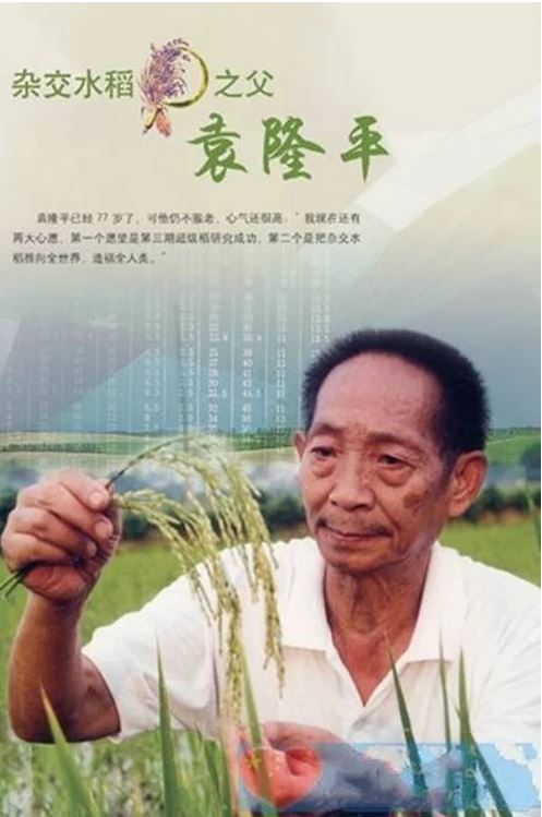“杂交水稻之父”进入北京中考作文材料