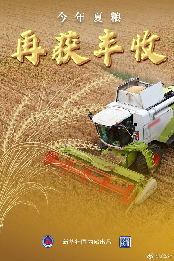 我国夏粮再获丰收