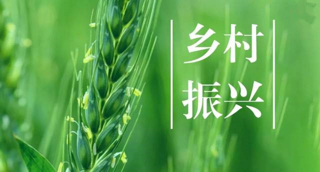 央行等部门发布考核评估办法 督促引导金融机构大力支持乡村振兴