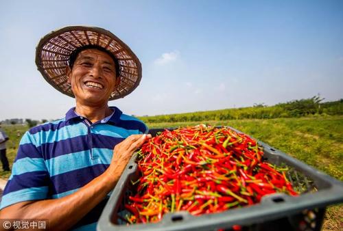 让农户的每部手机都成为一个“银行网点”