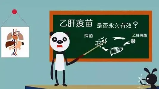 打了乙肝疫苗后就“一劳永逸”了吗？